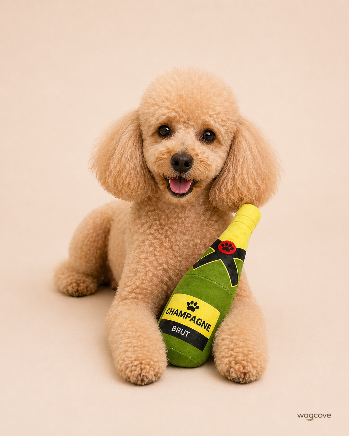 Bark & Bottle - Champagne Bottle Squeaky Toy (24 cm)